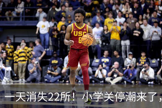 一天消失22所！小学关停潮来了，但更让人担心的还在后头