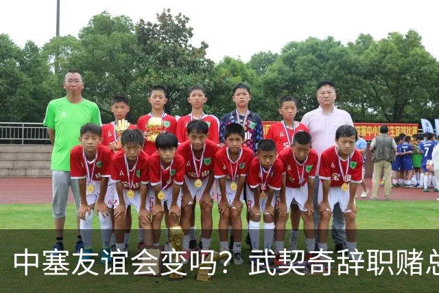 中塞友谊会变吗？武契奇辞职赌总理败选，新领导对华态度模棱两可