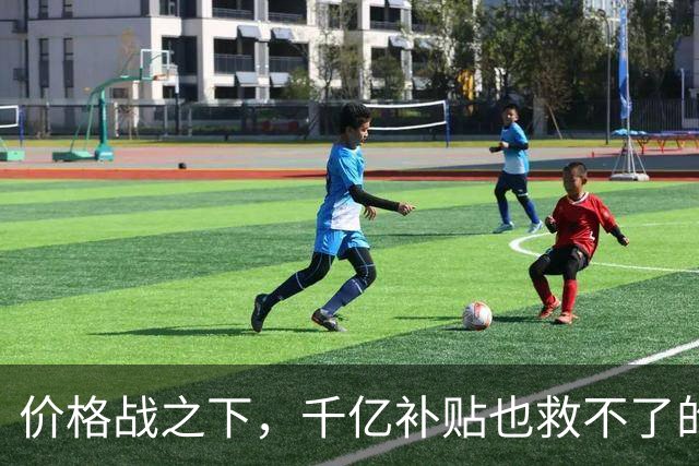 价格战之下，千亿补贴也救不了的车市真相