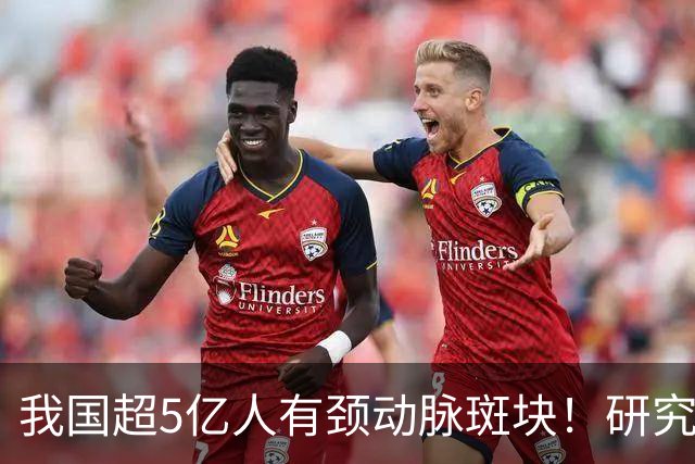 我国超5亿人有颈动脉斑块！研究证实：斑块可以消退！有6点建议