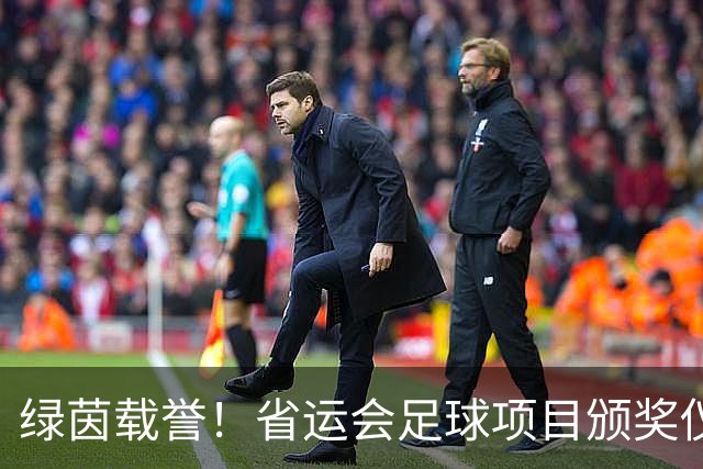 绿茵载誉！省运会足球项目颁奖仪式在延吉举行