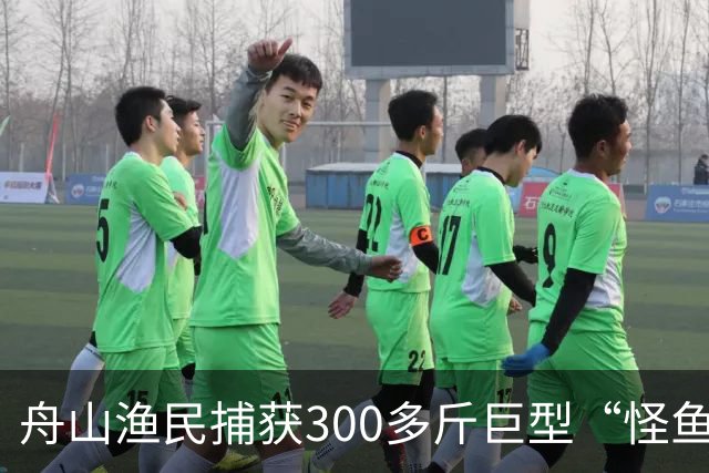 舟山渔民捕获300多斤巨型“怪鱼”，已放归大海，经辨认系翻车鱼，是已知世界上生殖力最强的脊椎动物；网友：以为是一块大石头