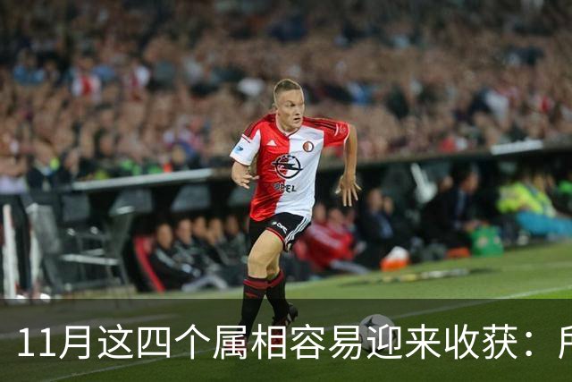 11月这四个属相容易迎来收获：所有惊喜，都是长期默默耕耘的结果